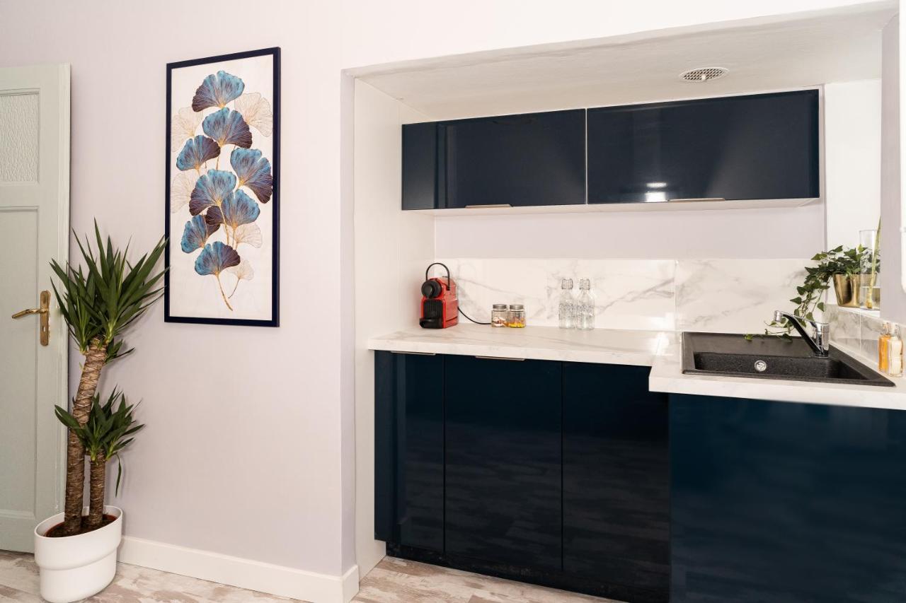 Audace - Magnifique Appartement 75M2 - Position Centrale Gare-Pompidou-Nouvelle Ville - Garage Prive - 2 A 4 Personnes Metz Dış mekan fotoğraf